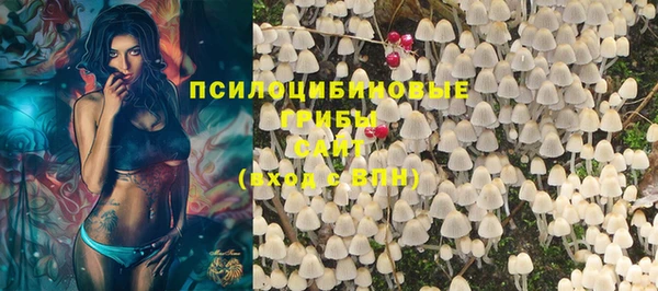 первитин Алексеевка