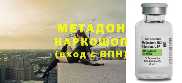 сатива Новодвинск
