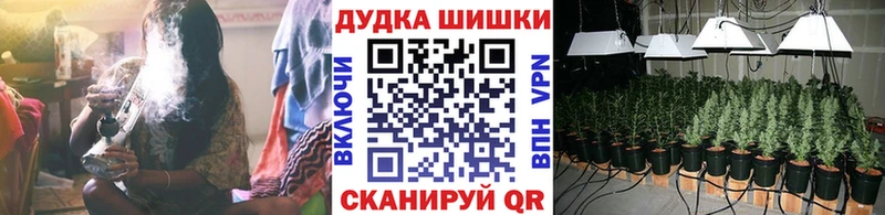 Канабис SATIVA & INDICA Алзамай